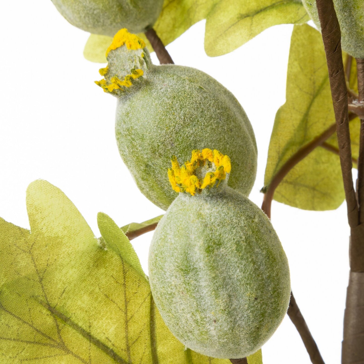 6e2c1a107910a8086ccc4466250ad369