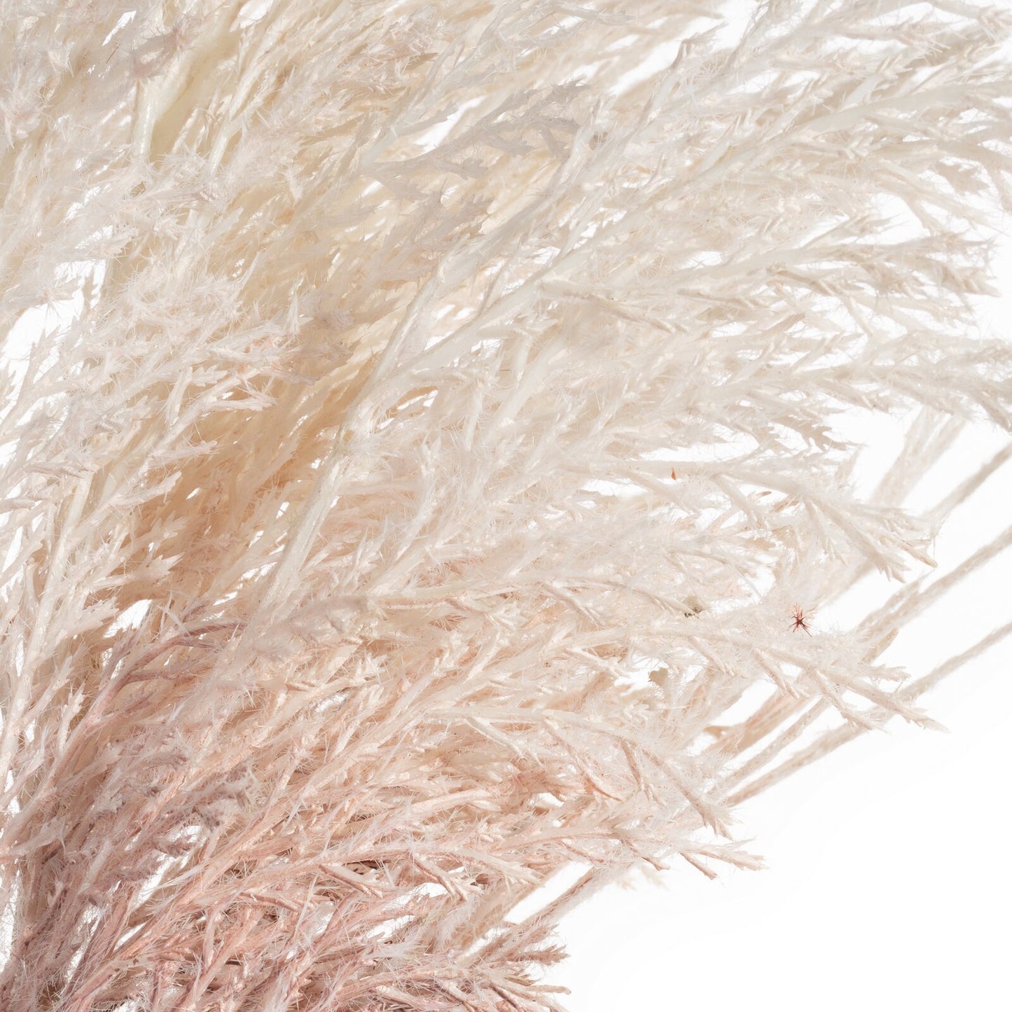 8bc8ac75e1a3b082887c14839fe39cce