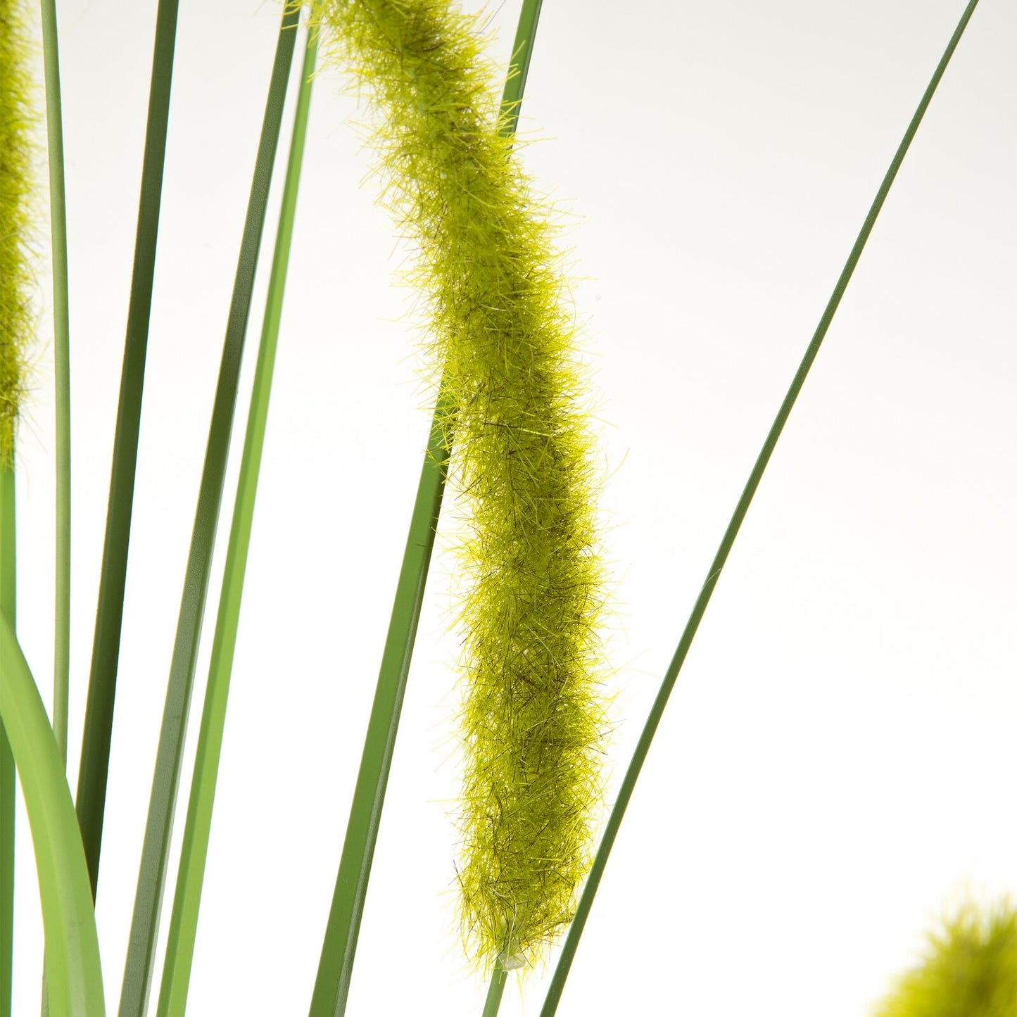 4d596cf038fba8ebc34311a18192c804