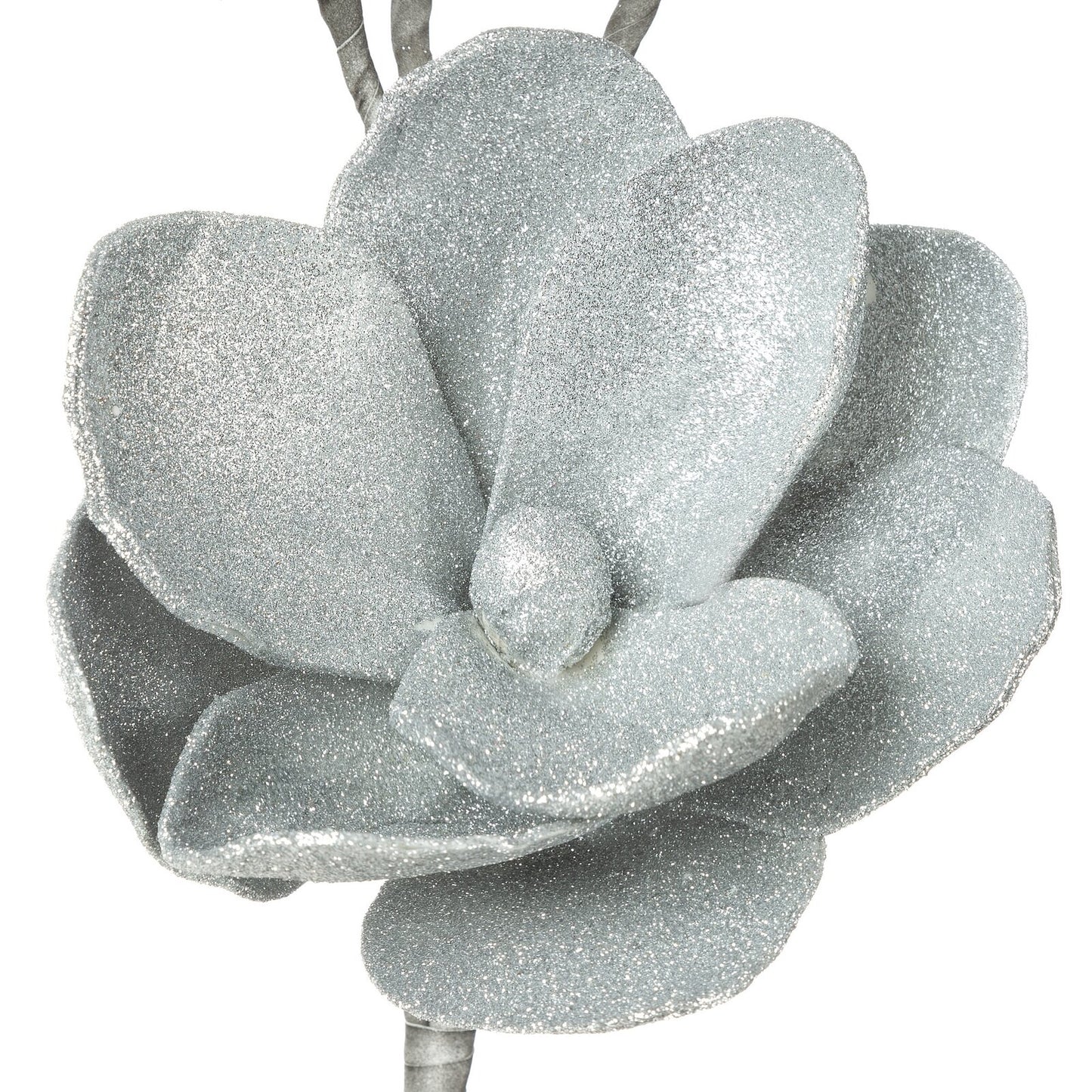 0d5acd12957cec51d0ecc399f6b978be