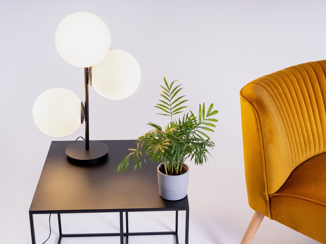 8e7f216310c1355d53aaff43c65f895e