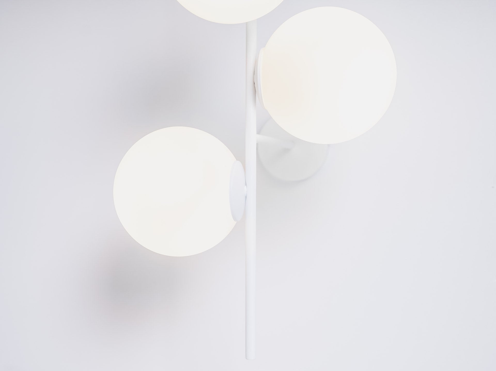 cca550129d7b65b45f85f6be98f683b8