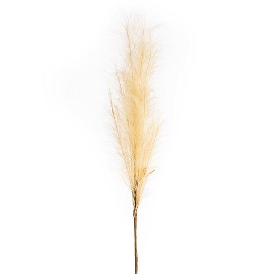 23672084bc2d2b2ffba22c48fc964555