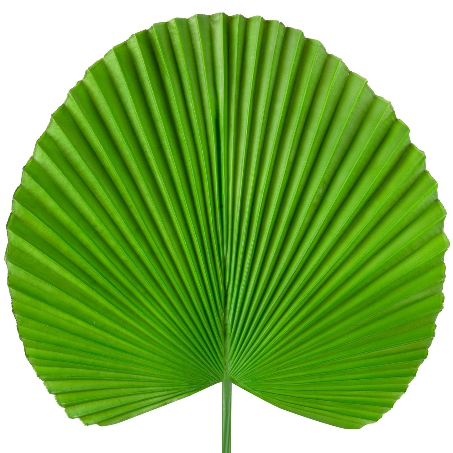 1f40314519ce612f8bb70d20600ff1df