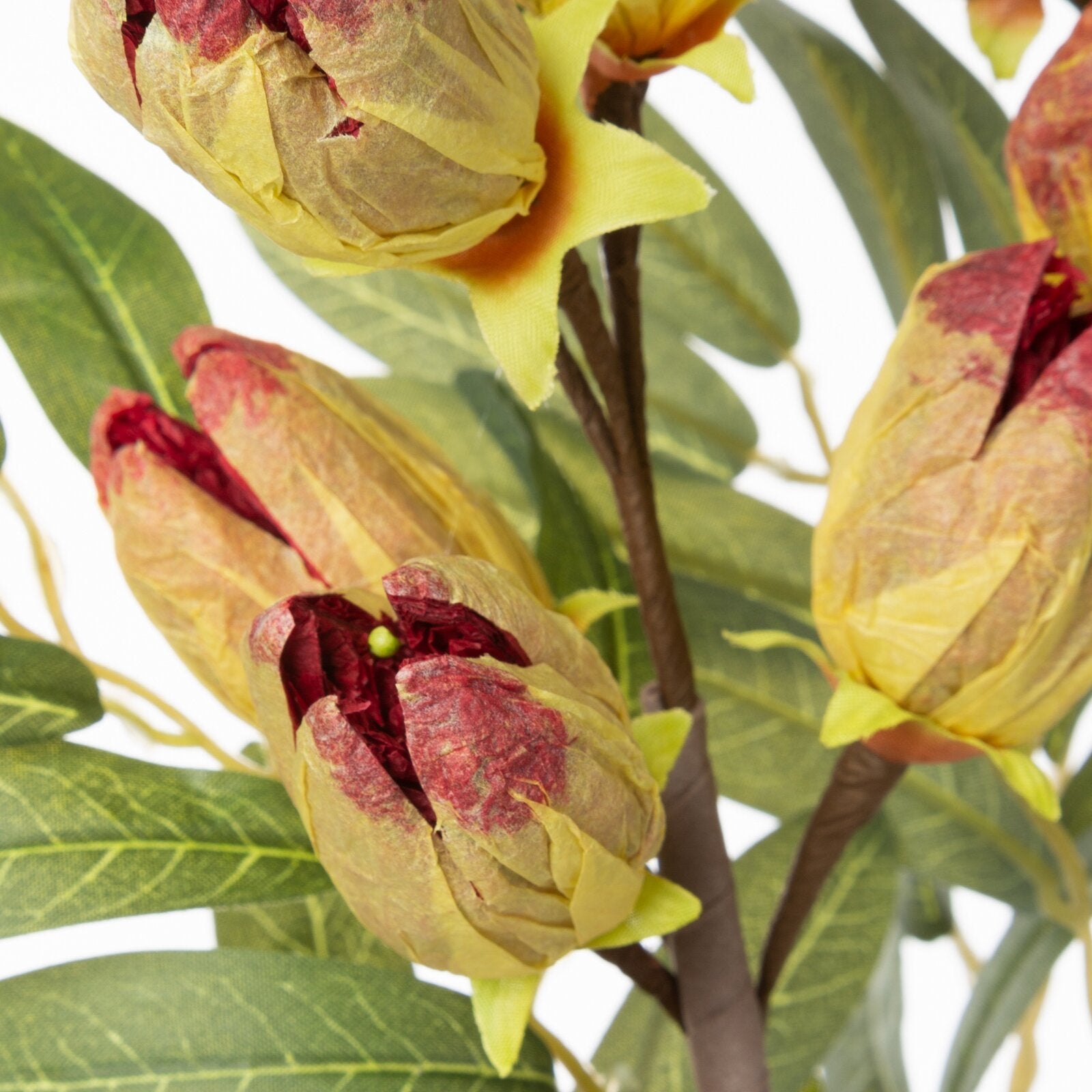 ddd01bc235f8c89bdcd31647bc06d0b0