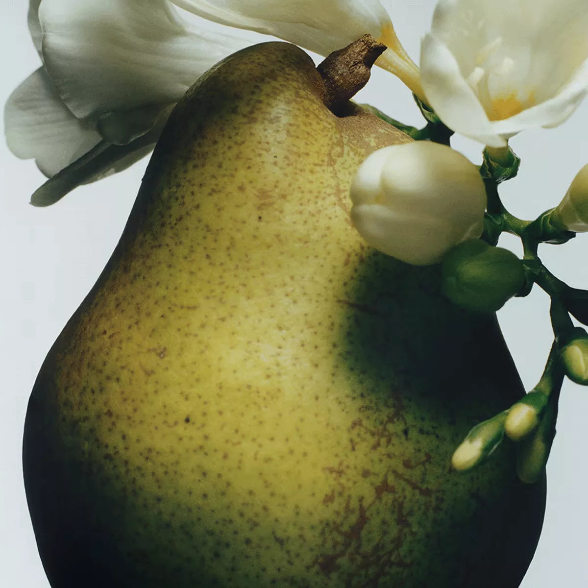 Jo Malone English Pear & Freesia EDC U 30 ml, 100 ml - N1 Home