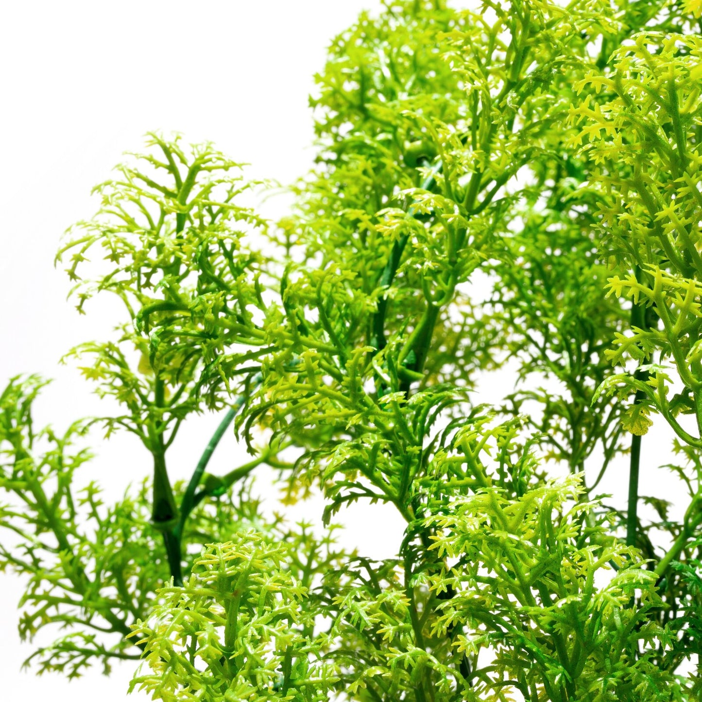 8934a8ab857ad56b2ed30335397a002a