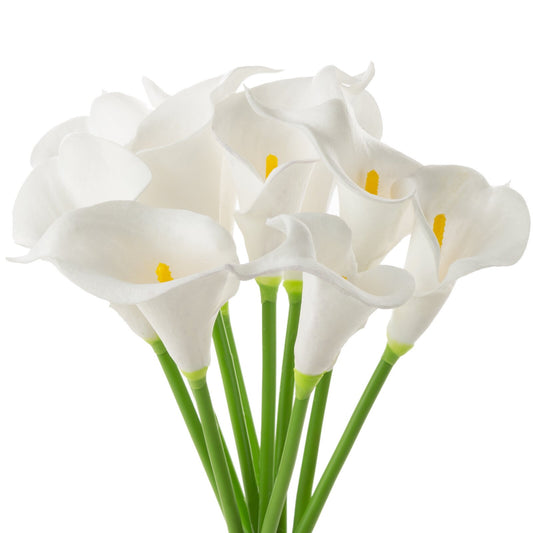 cae0f7549ae37e3f08c1a89a6221f22b