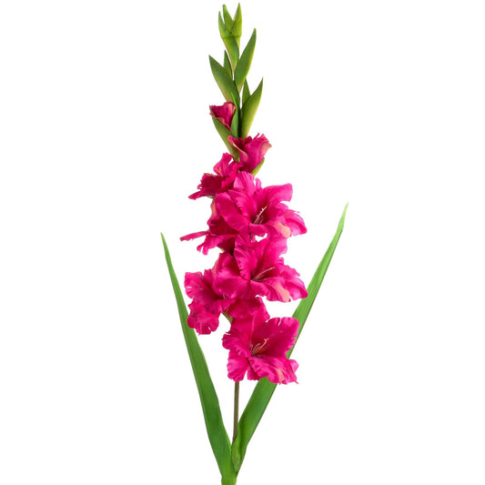 75d07ee091db9048c8734bc1aea928be