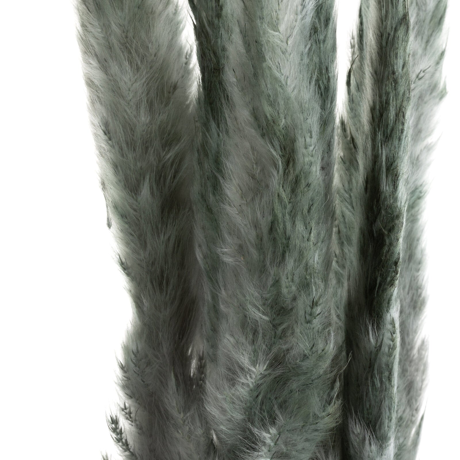 b2d61b0b45dbd1cda536bfb1ba24af82