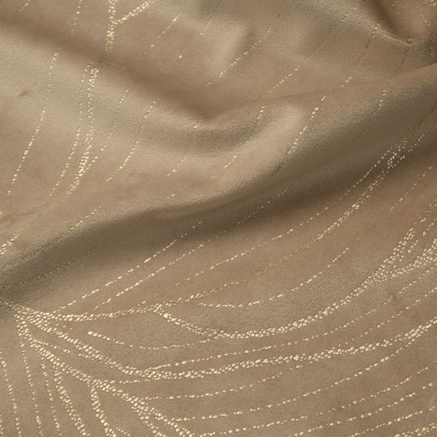 2135869c7969fc639e01ad7cedd1f98e