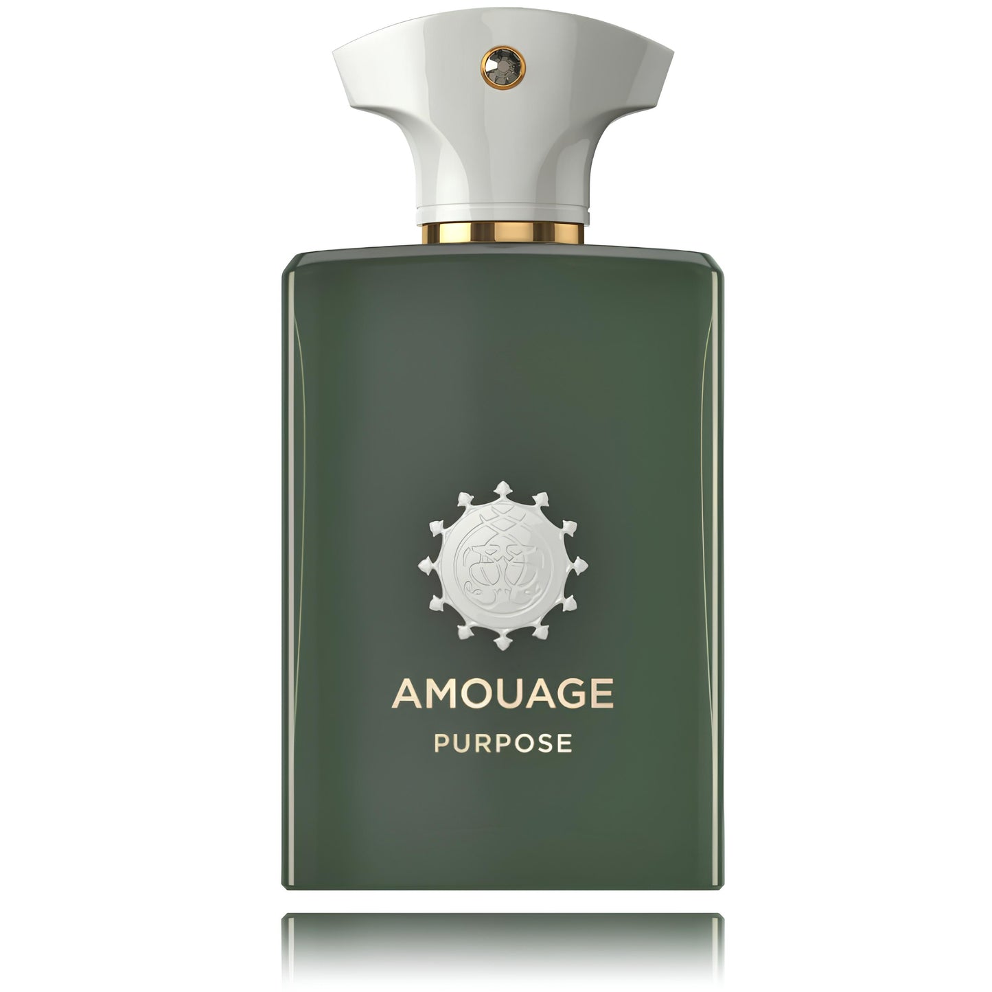 Amouage Purpose EDP U 100 ml - N1 Home