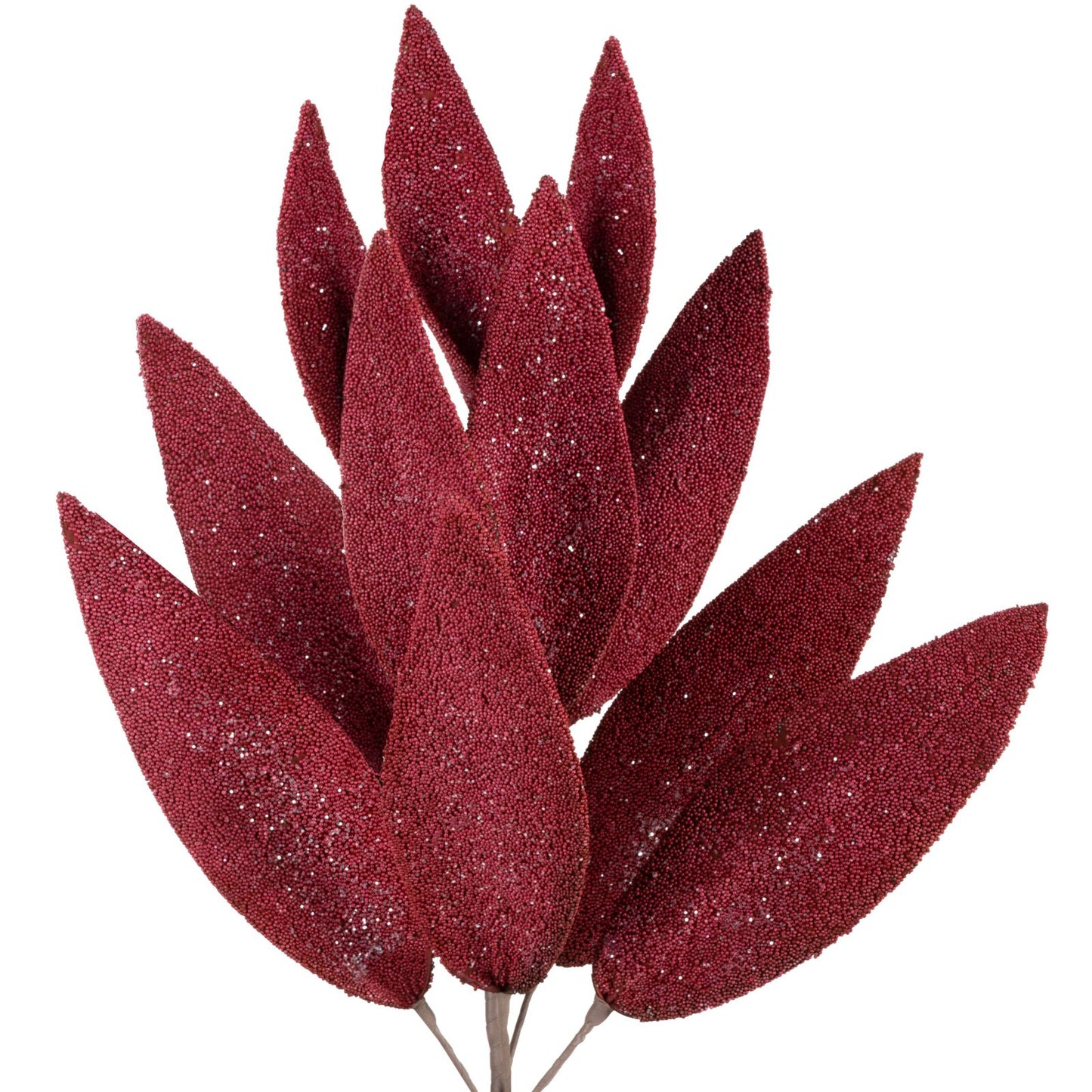 116f577110520c4d54c6193d2e649528