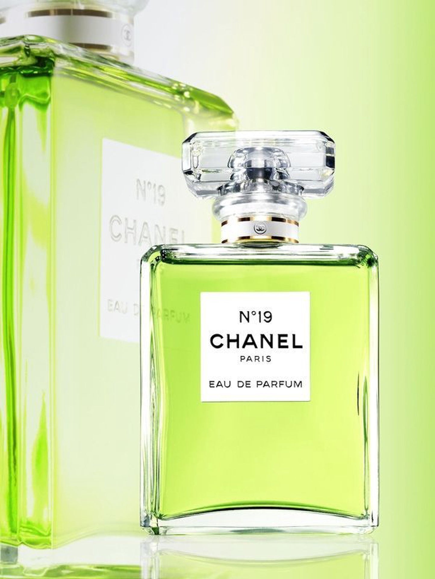 Chanel No.19 EDP W 100 ml - N1 Home