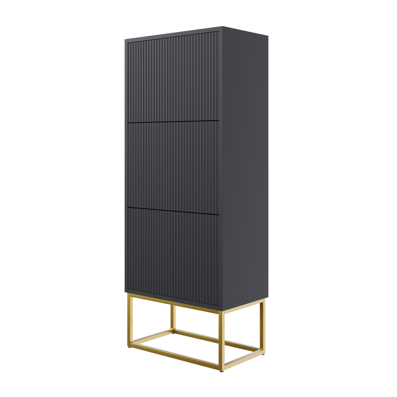 Apavu skapis Velda 50/30/125 cm melns/zelts