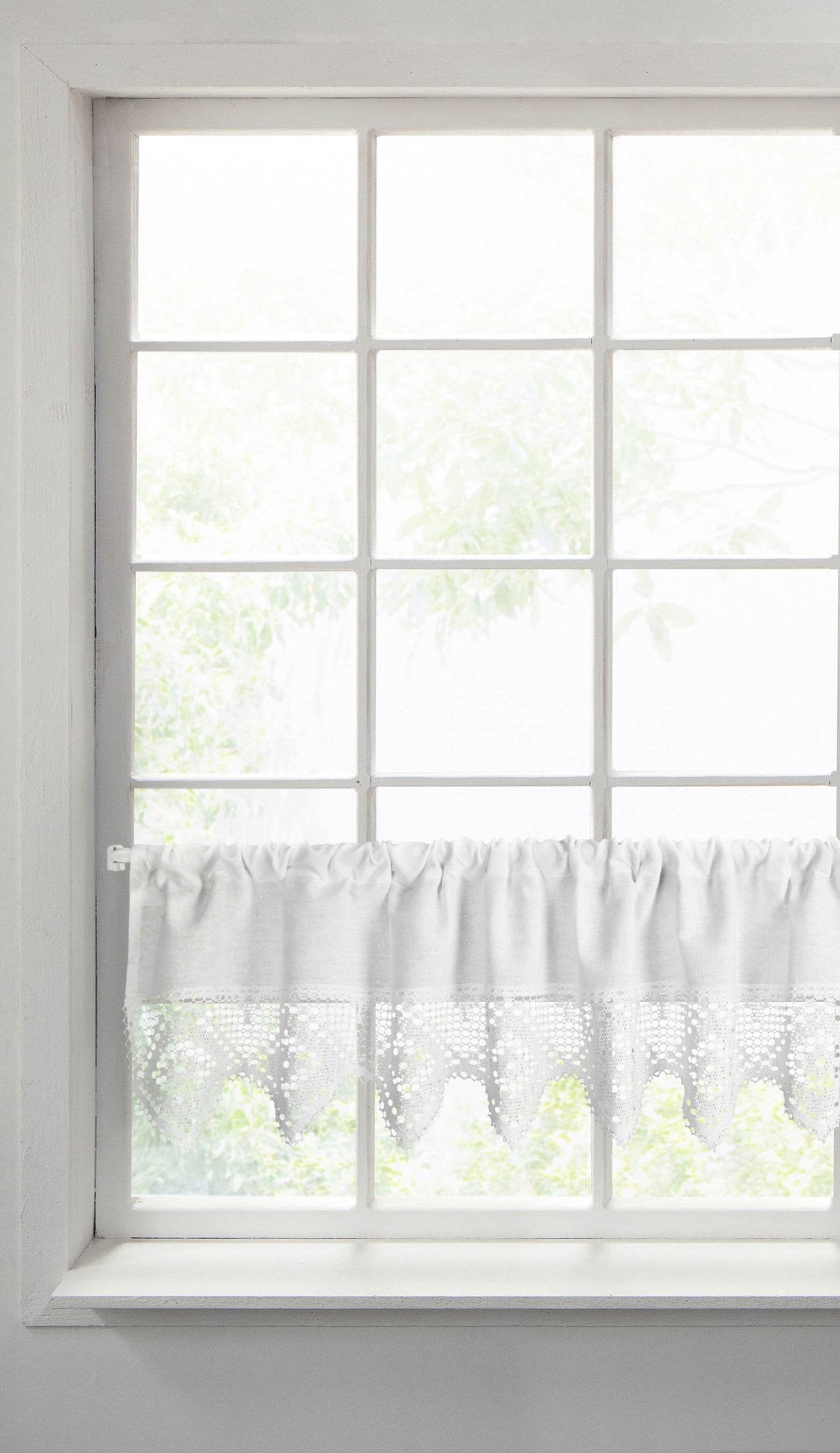 4d1106cf086a14afa68a62b8cc9cef8b