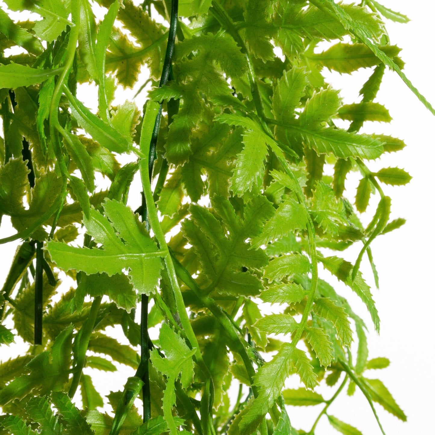 b7bf81faf9f43912626e94b3f764ce96