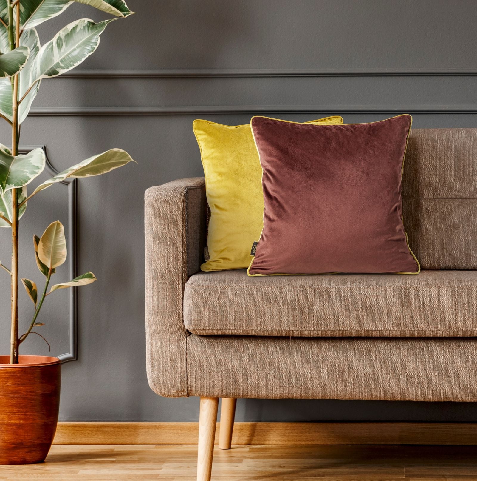 8341d6b7f5b963ed31b80e3870e9c4ea