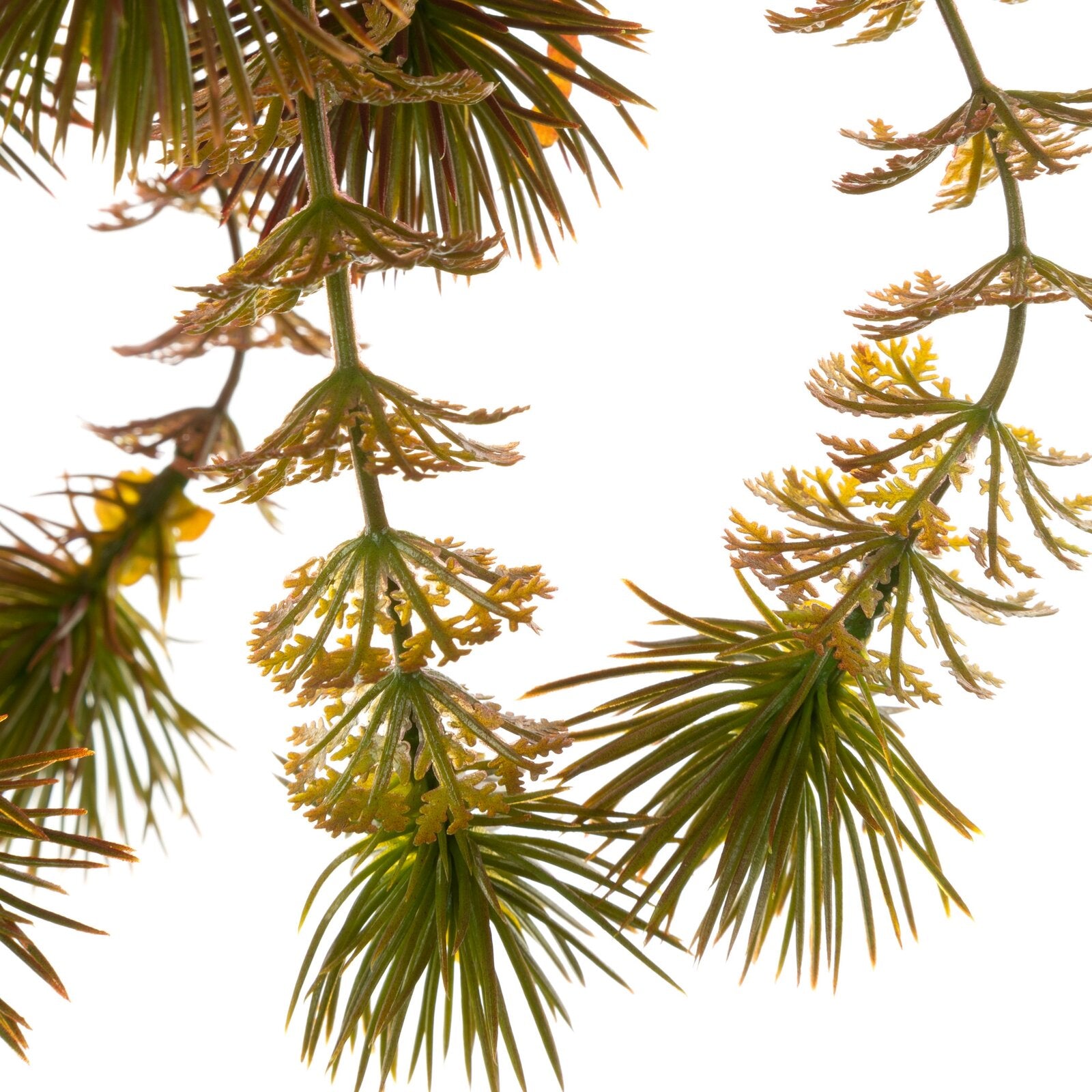 ce01157c2c73680892dfb4c8fe373cc3