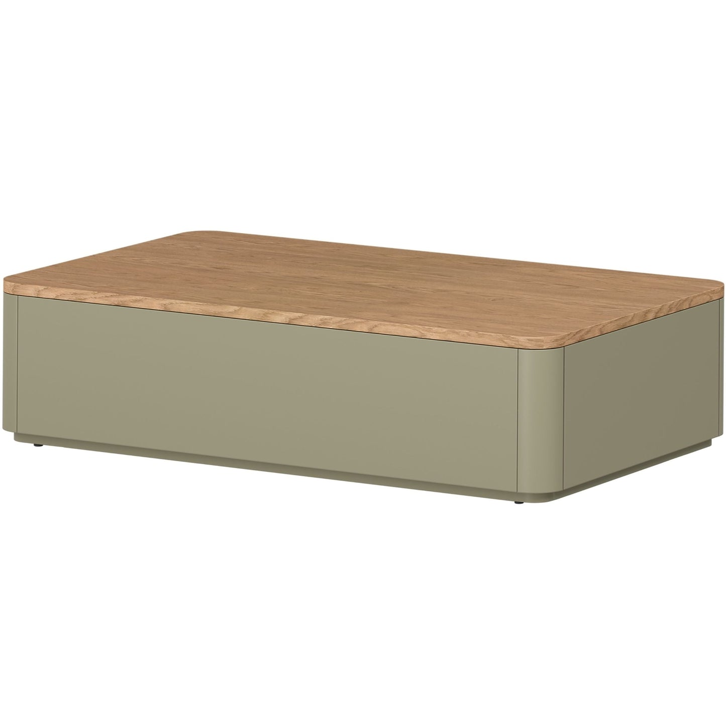 Kafijas galds 100/25.5/60 cm Eikalipts / Baltijas kāpu ozols - N1 Home