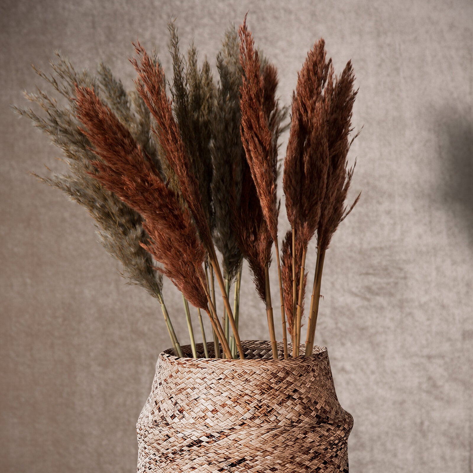 a9eab14ca074047c6173c5da98e68301