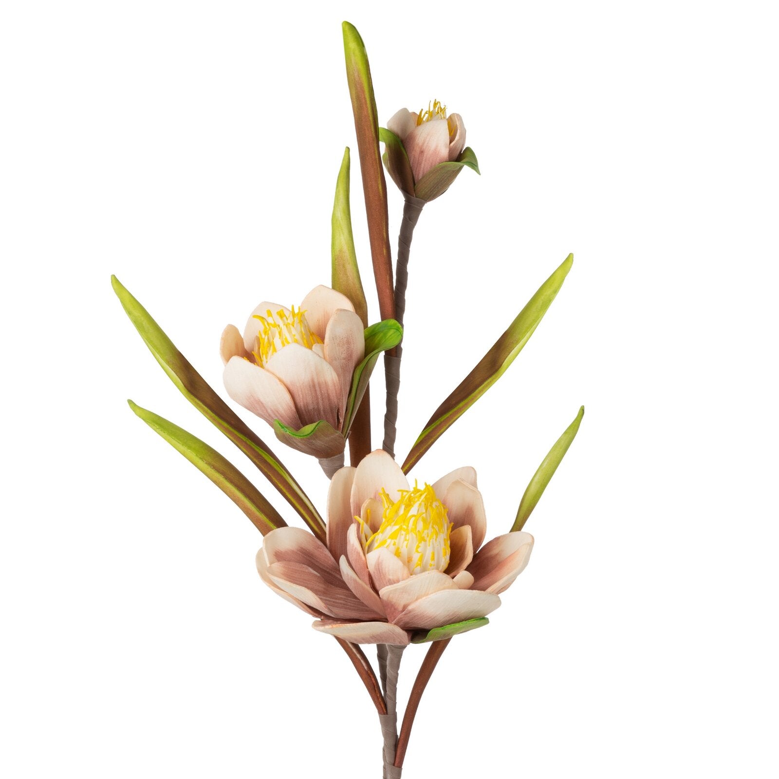 bf85bb4f71606cbccb3712efef335687