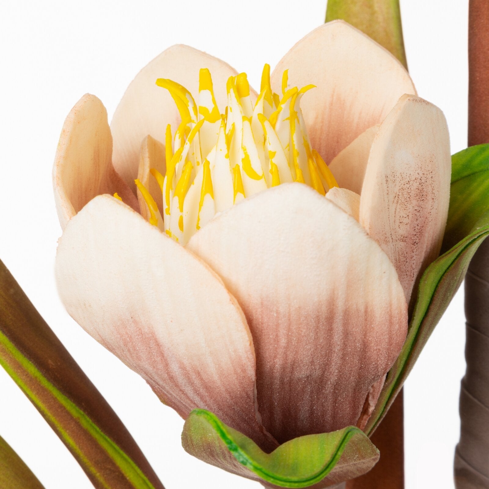 82bf01350015cc531baa993298d5ffc4