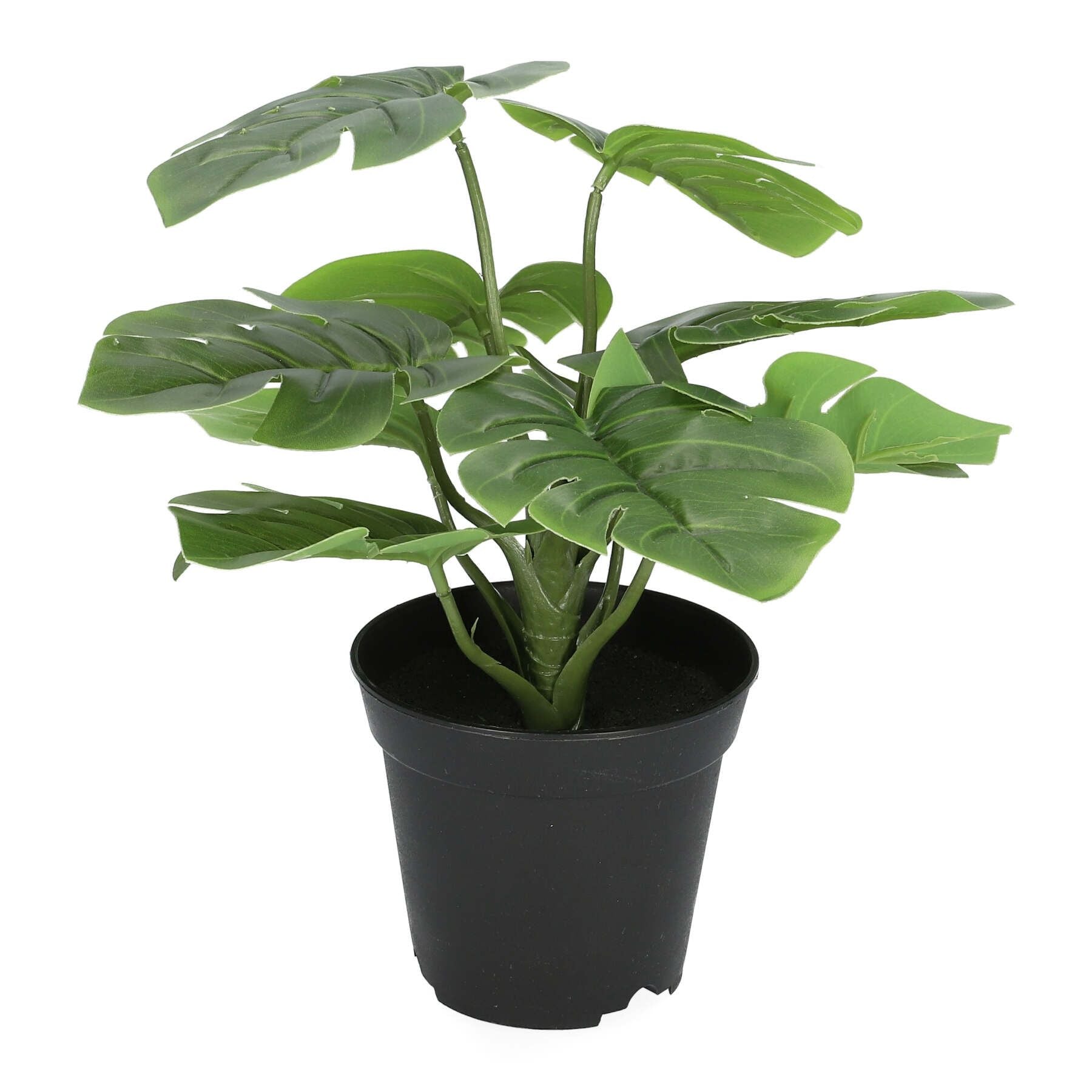 Mākslīgais augs MONSTERA 29 cm - N1 Home