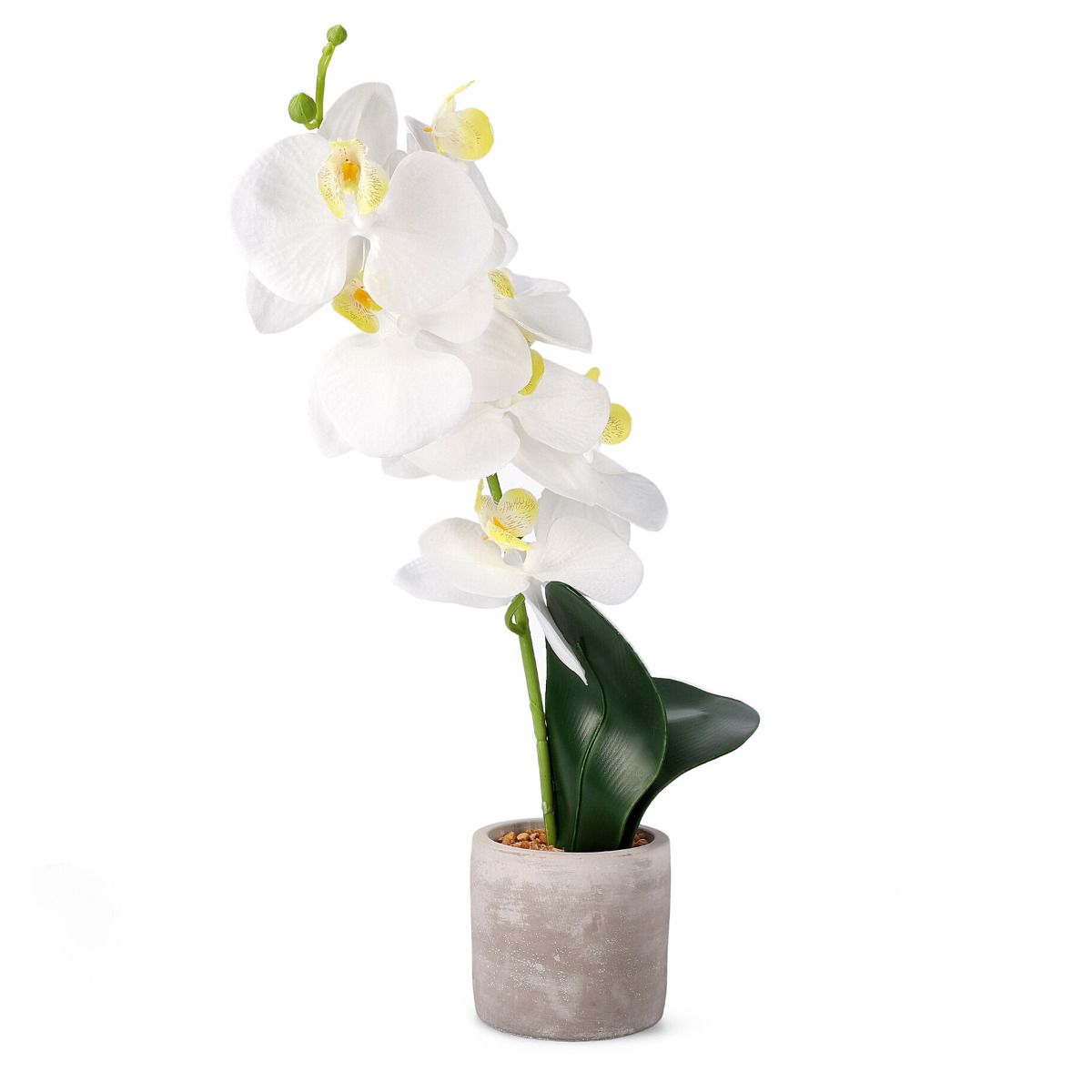 Orhideja ORCHID mākslīgā balta 9x8x49 cm - N1 Home