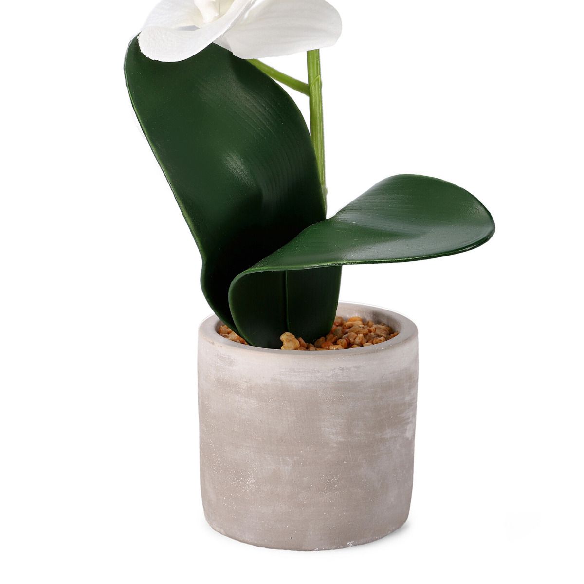 Orhideja ORCHID mākslīgā balta 9x8x49 cm - N1 Home