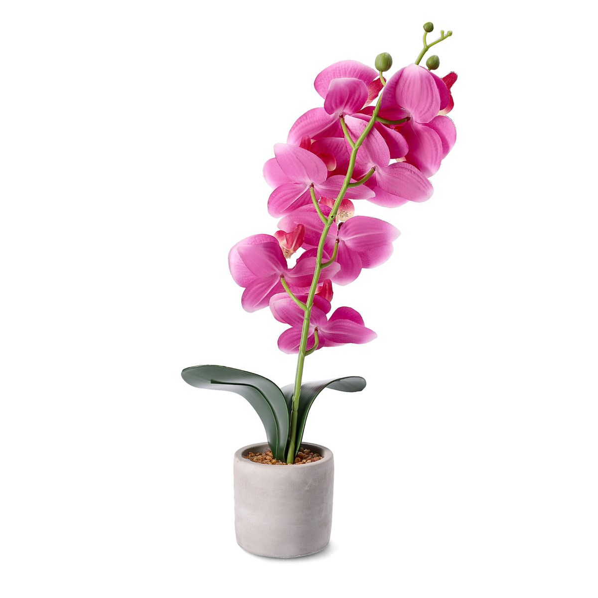 Orhideja ORCHID mākslīgā rozā 9x8x49 cm - N1 Home